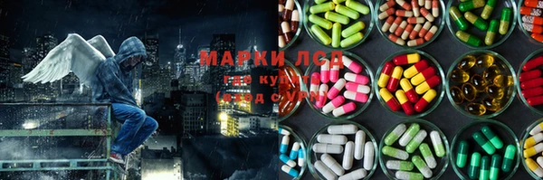 стафф Бородино