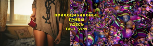 стафф Бородино