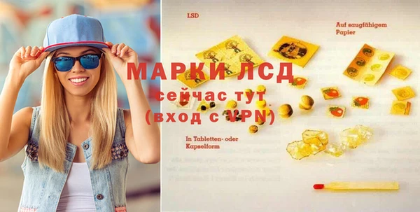 стафф Бородино