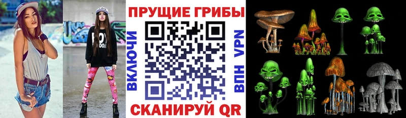 Галлюциногенные грибы MAGIC MUSHROOMS  Купить где  Куйбышев 